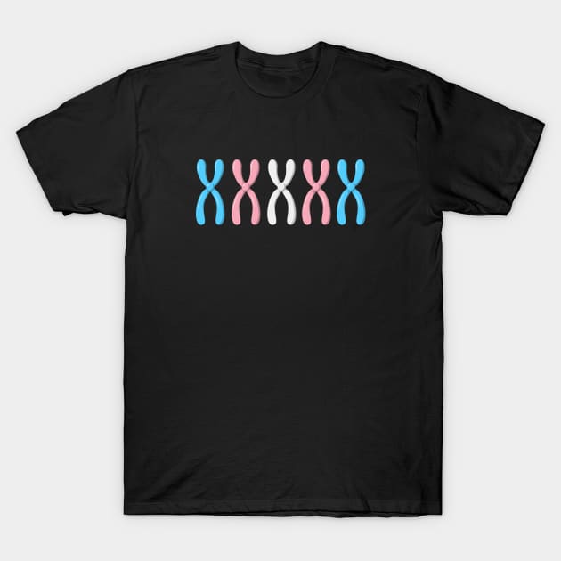 Trans Chromosomes T-Shirt by Pridish